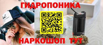 ECSTASY Конаково