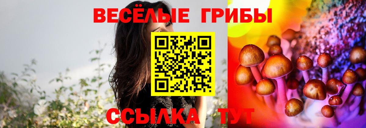 Галлюциногенные грибы ЛСД Керчь